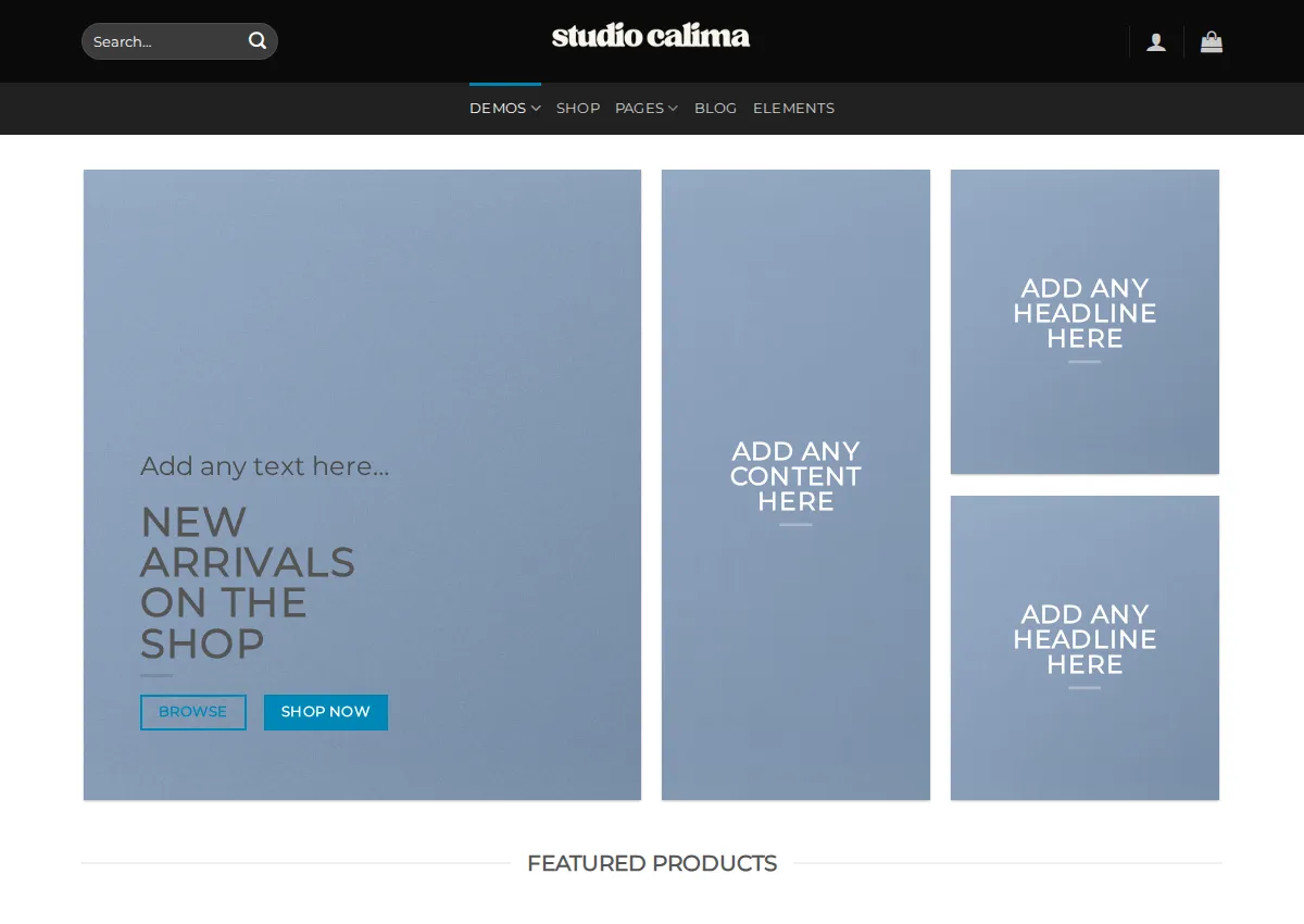 Store homepage