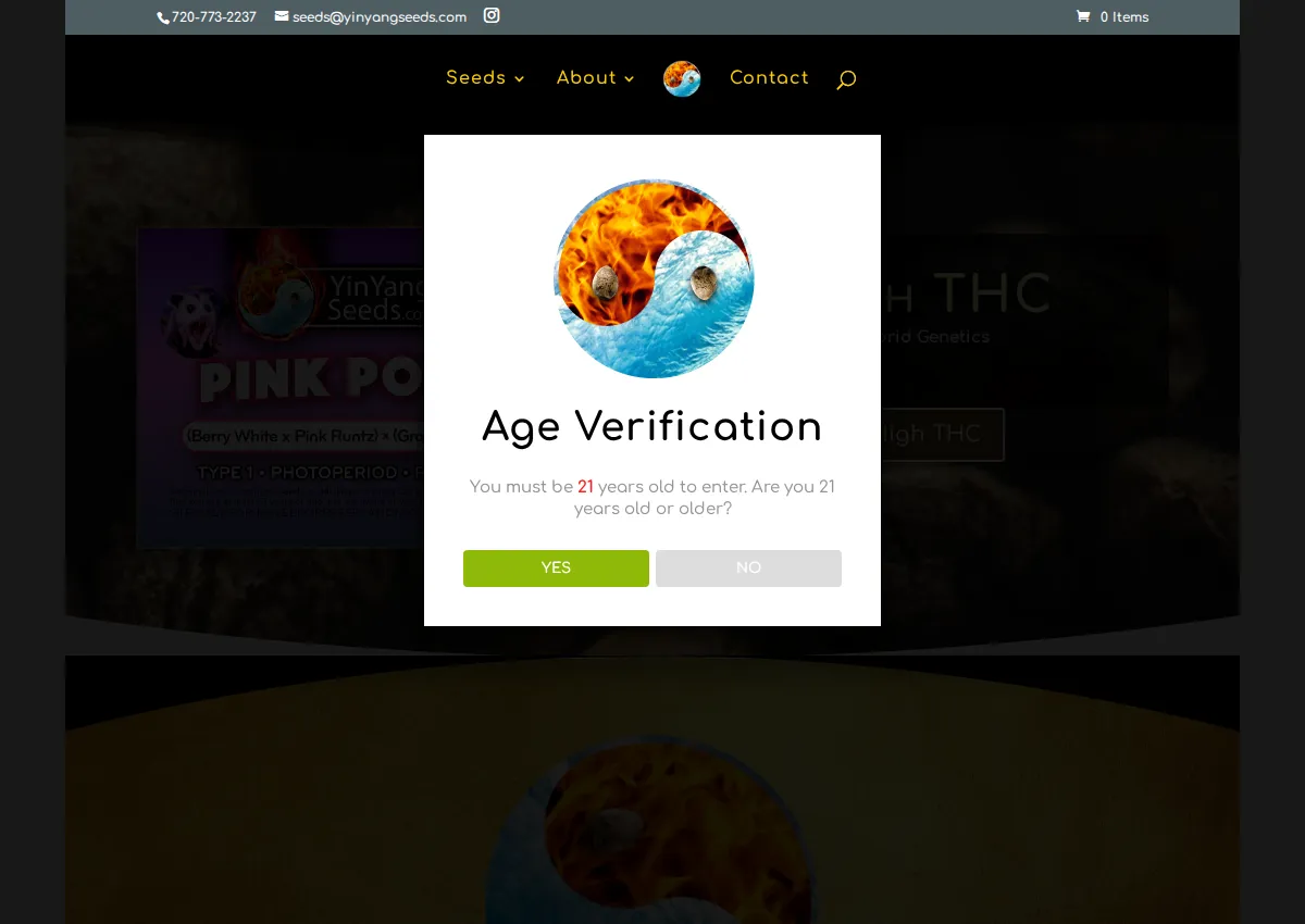 Store homepage