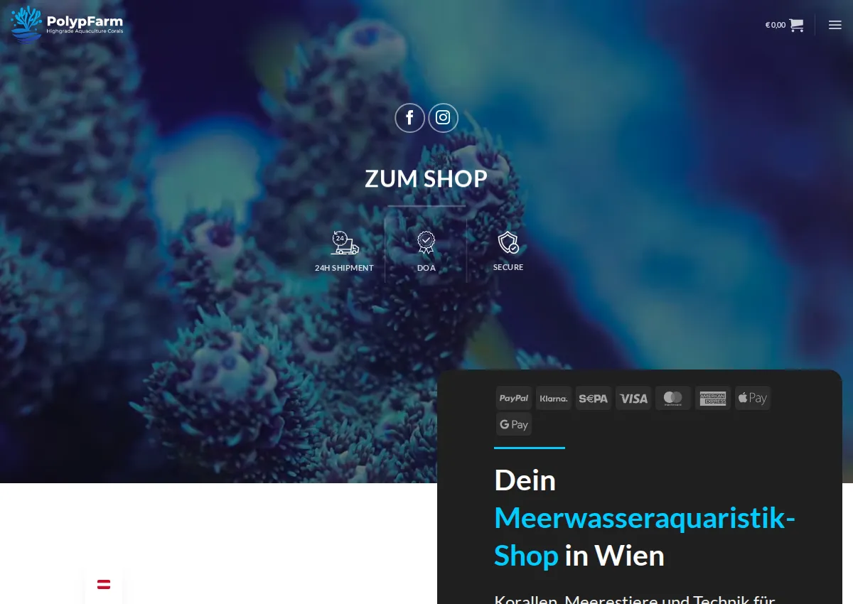 Store homepage