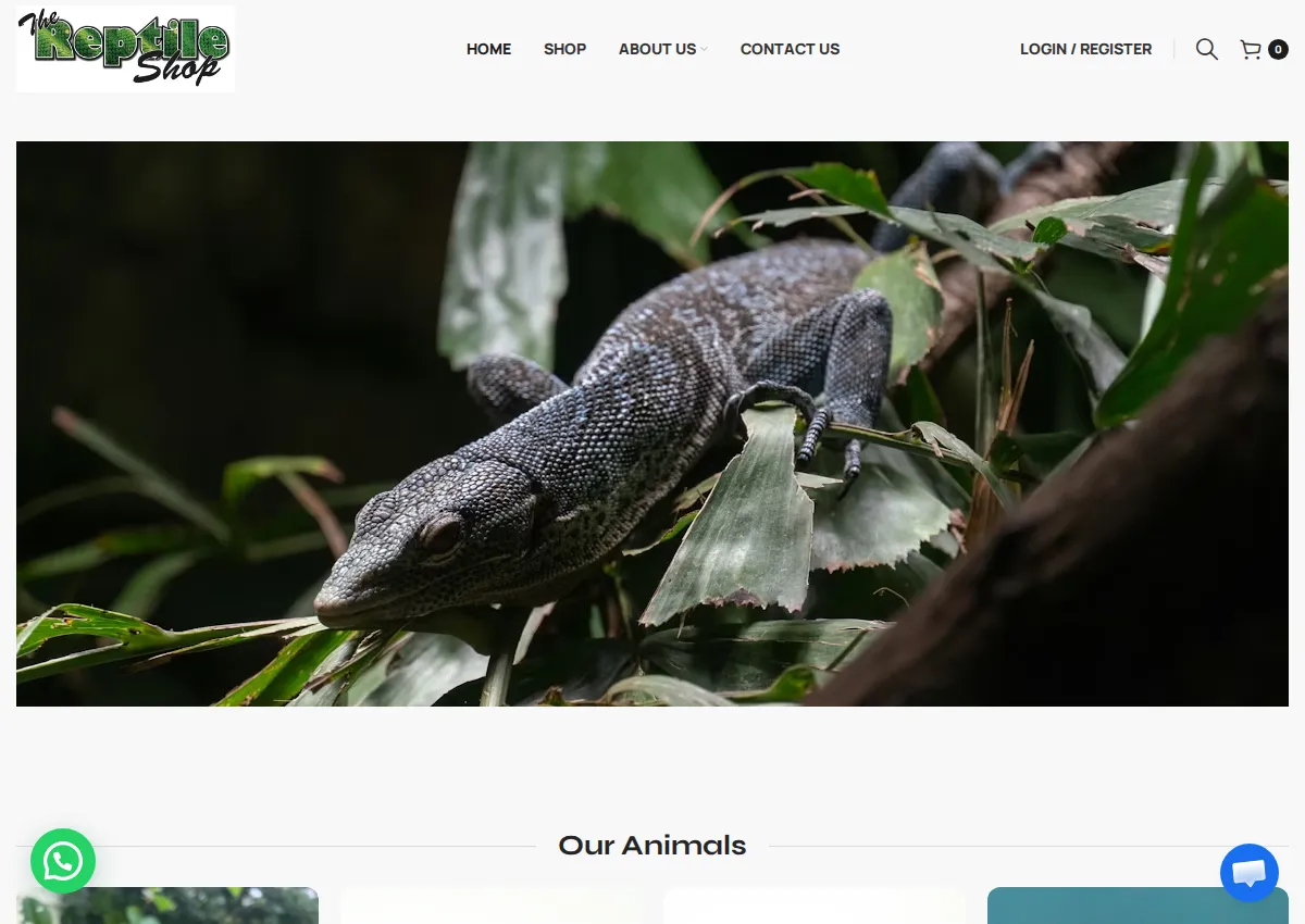 Store homepage