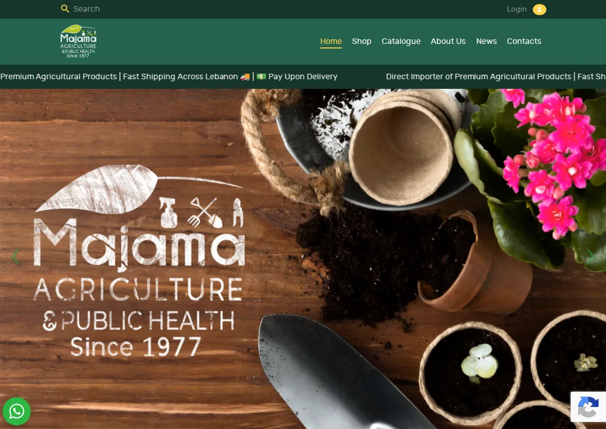 Store homepage