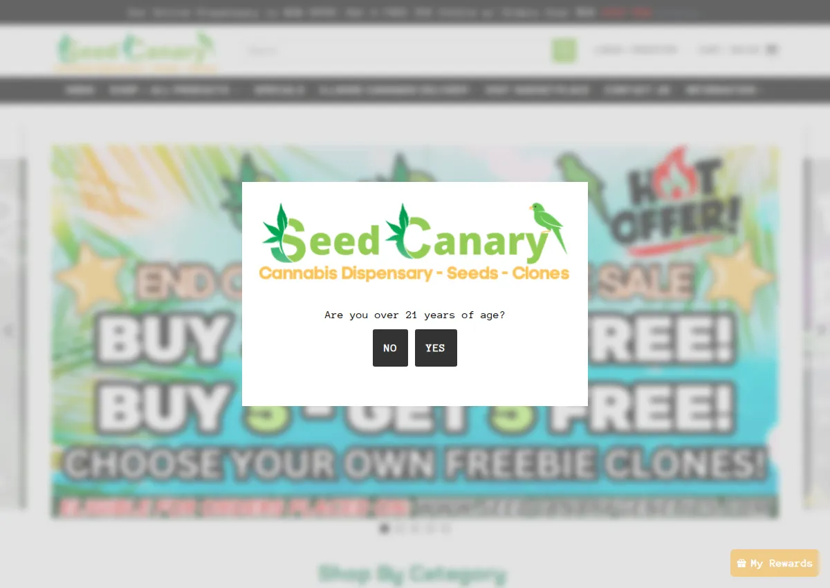 Store homepage