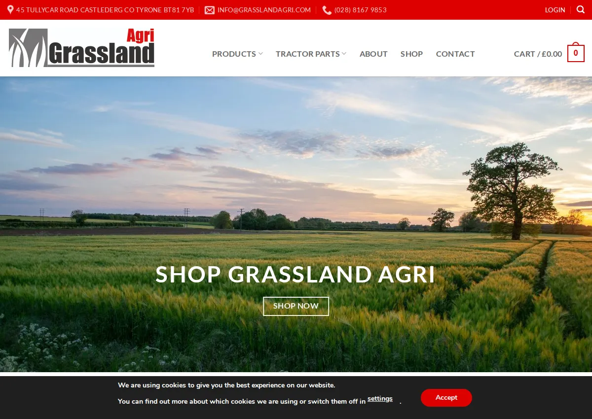 Store homepage