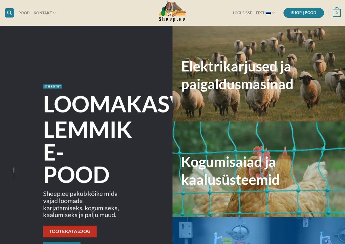 Store homepage