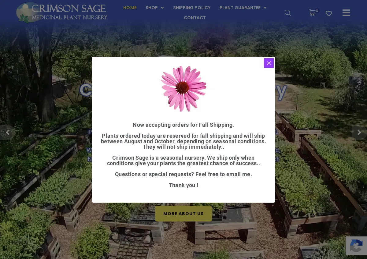 Store homepage