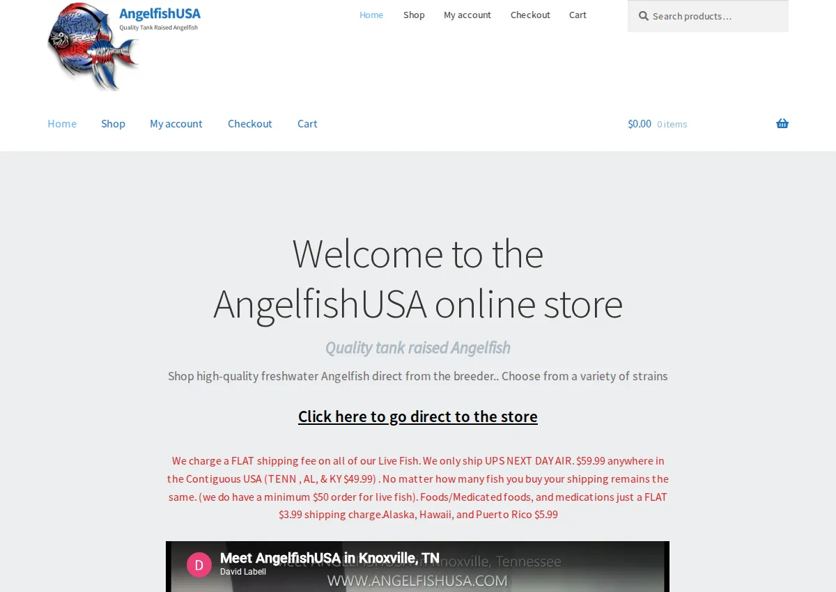 Store homepage