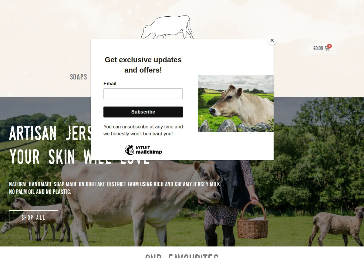 Store homepage