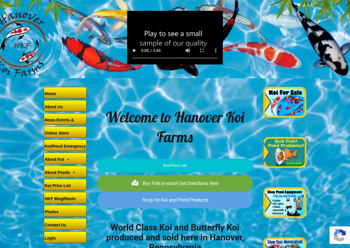 Store homepage