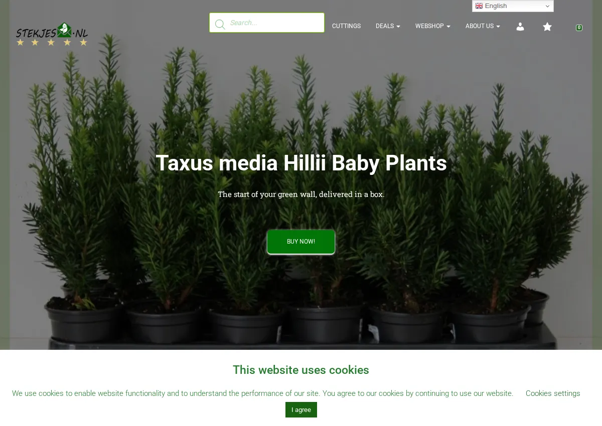 Store homepage