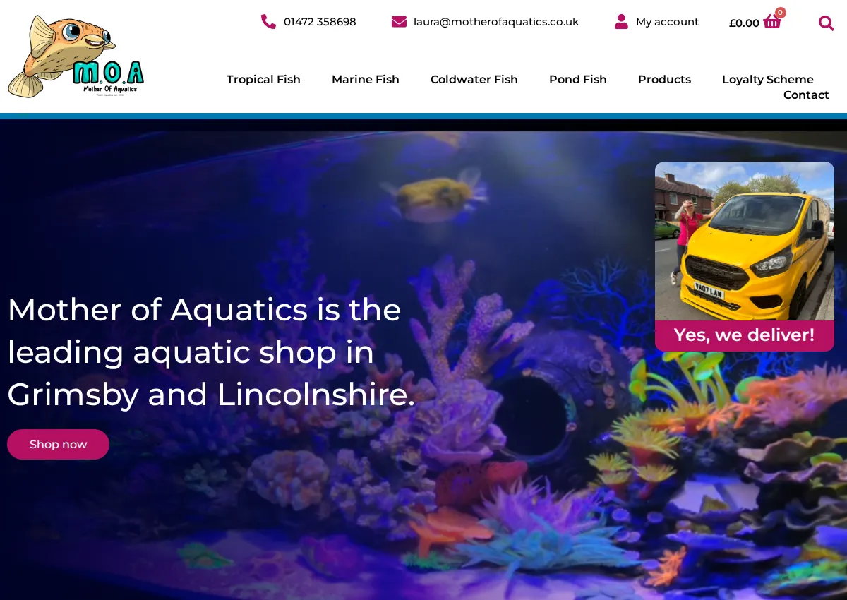 Store homepage