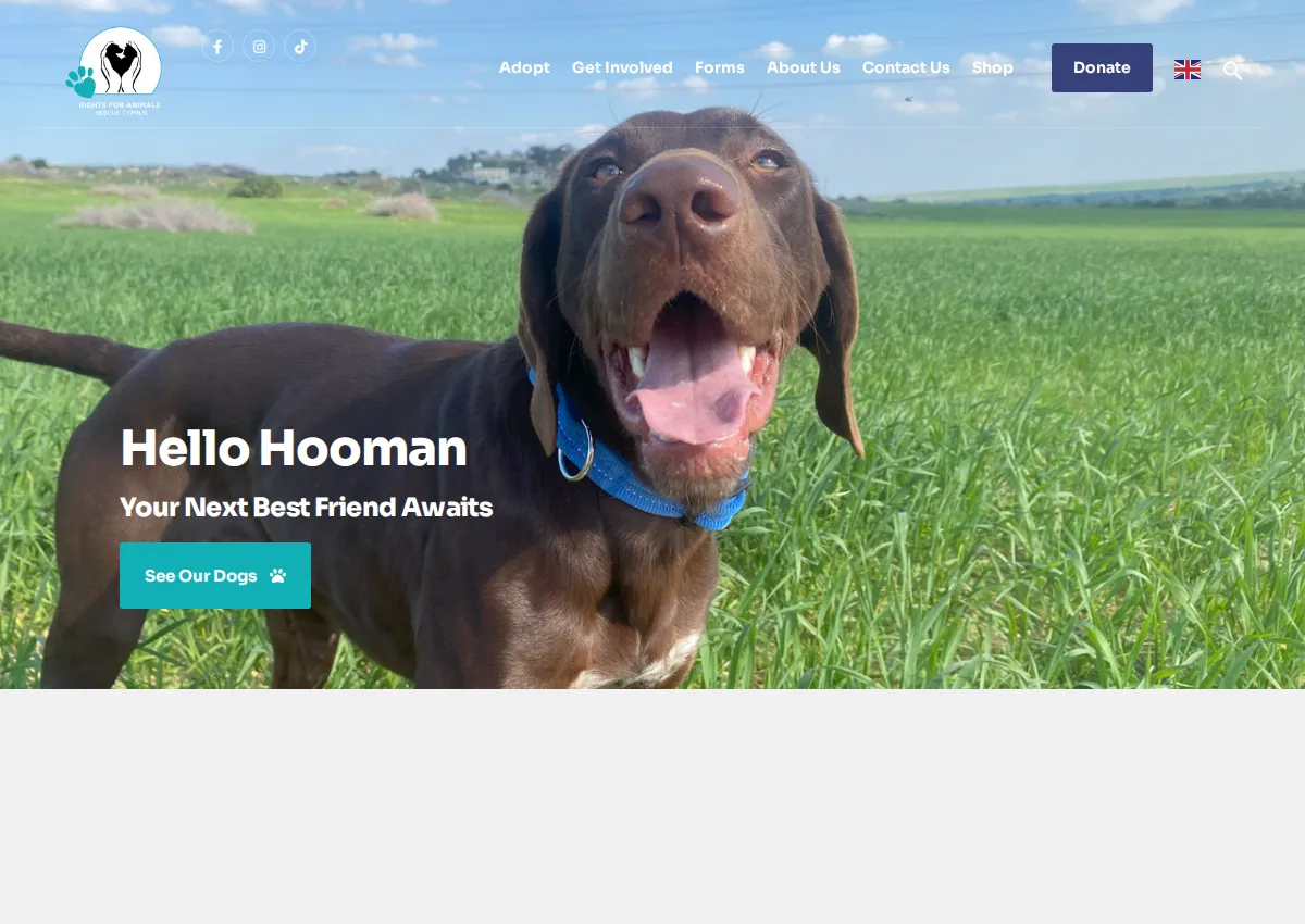 Store homepage