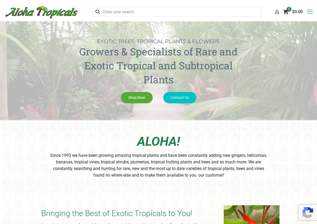 Store homepage