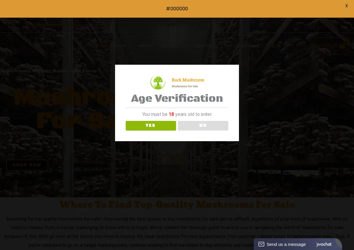 Store homepage