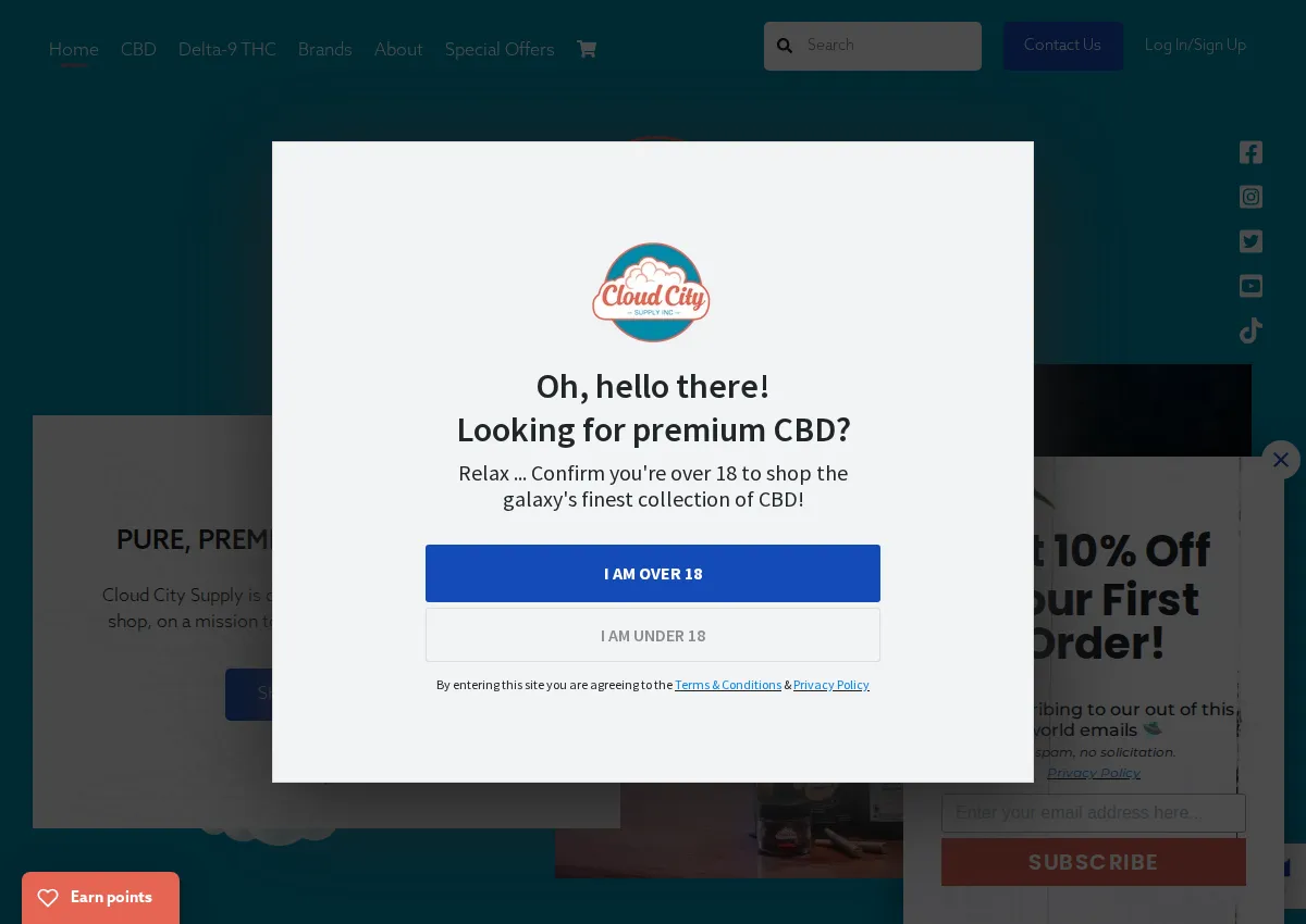 Store homepage