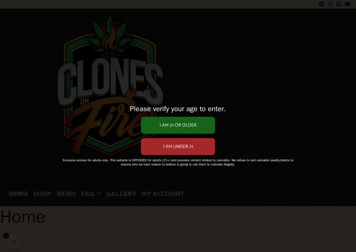 Store homepage