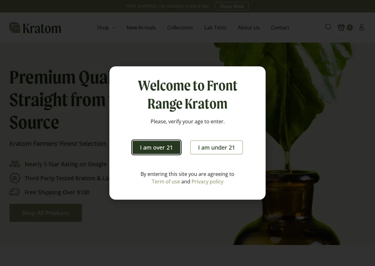 Store homepage
