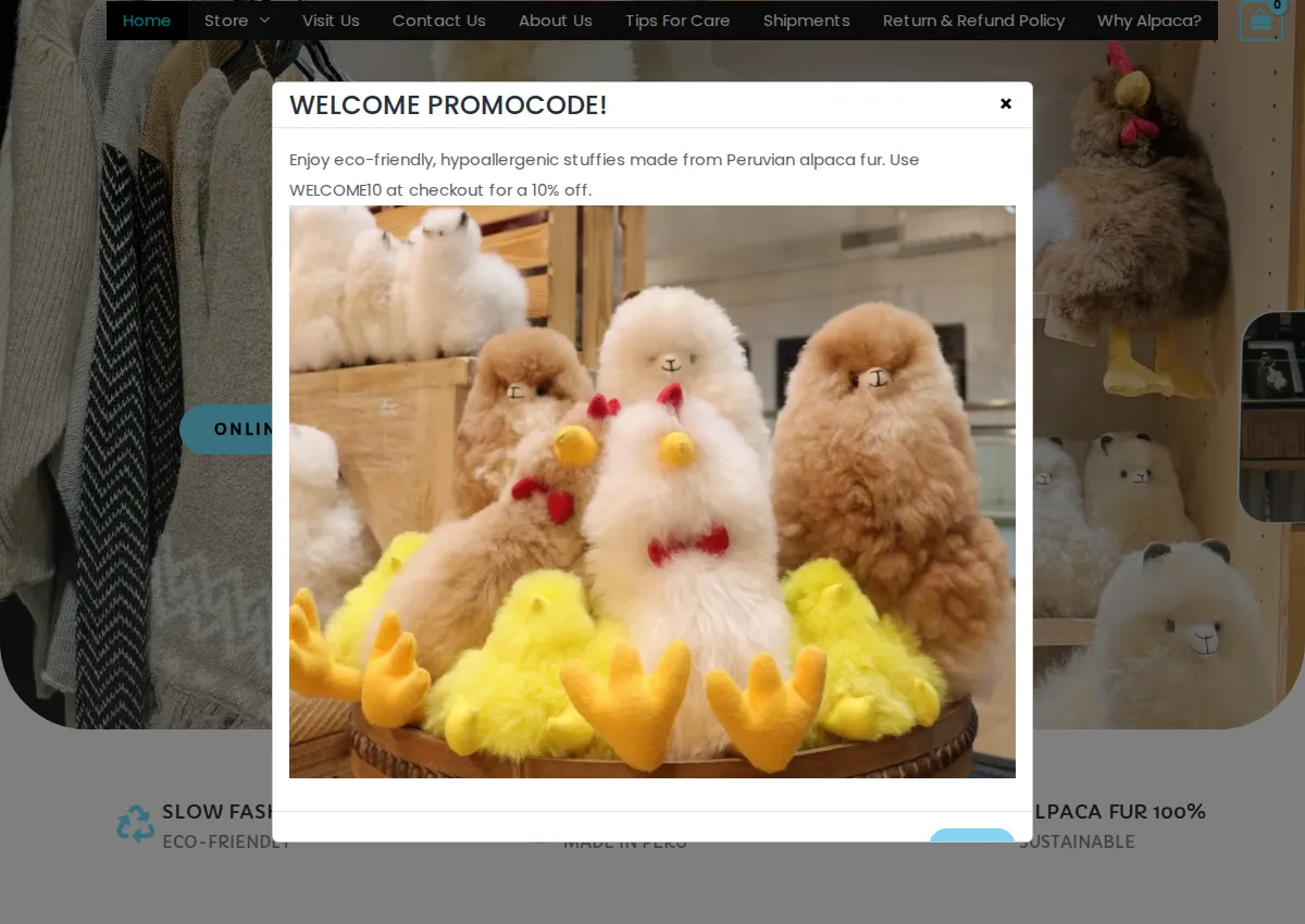 Store homepage
