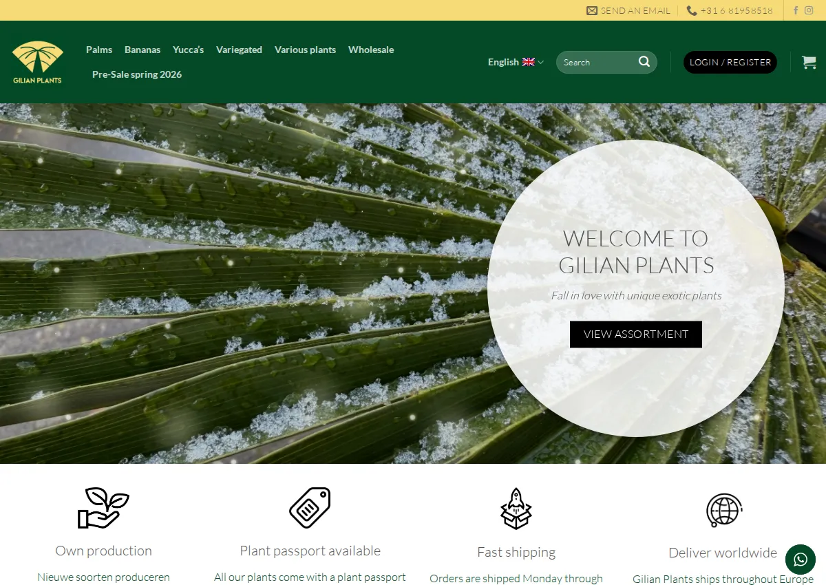 Store homepage