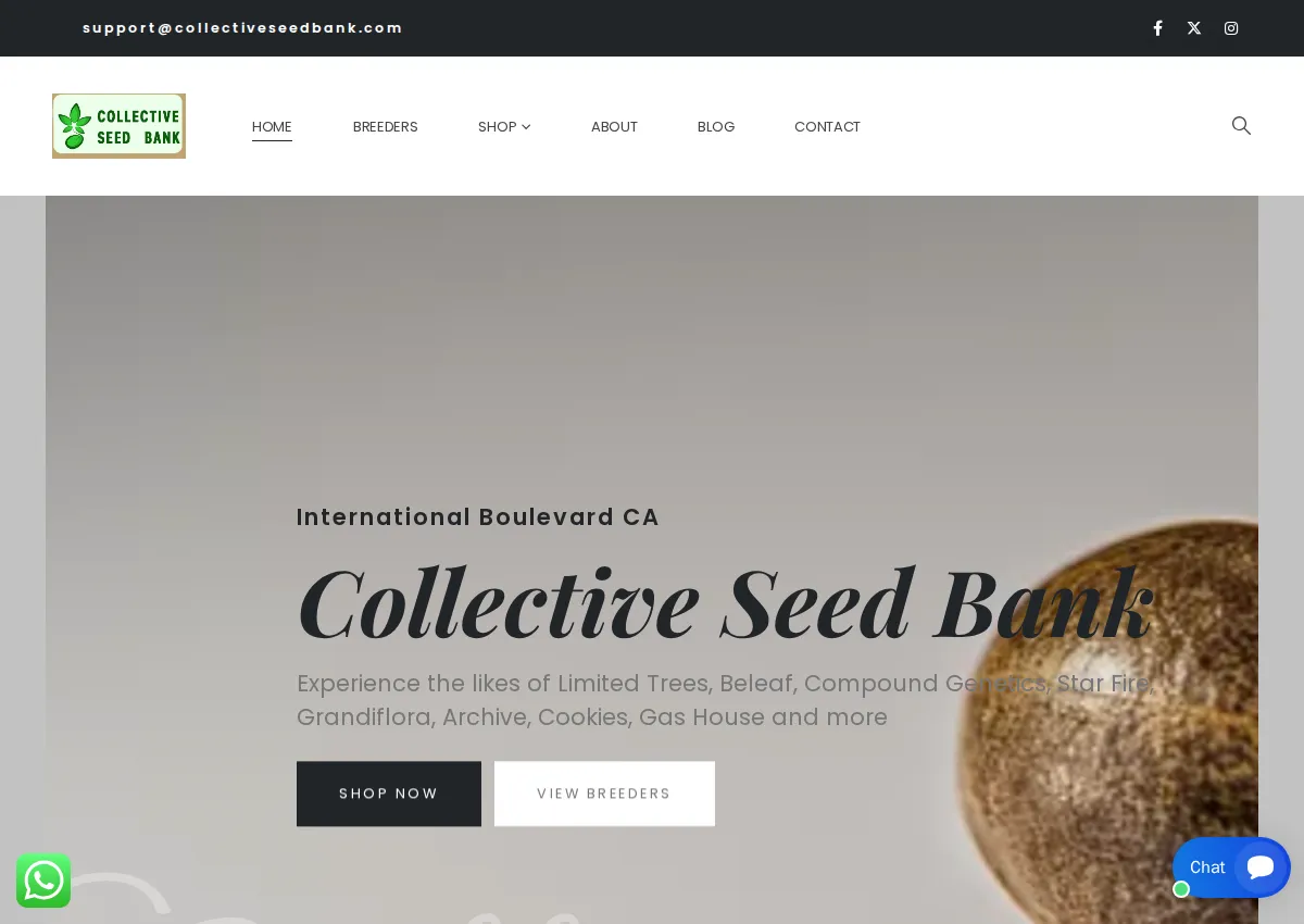Store homepage