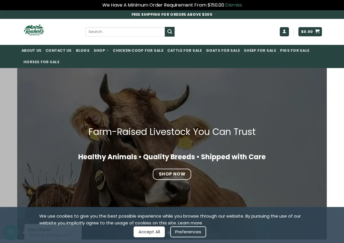 Store homepage