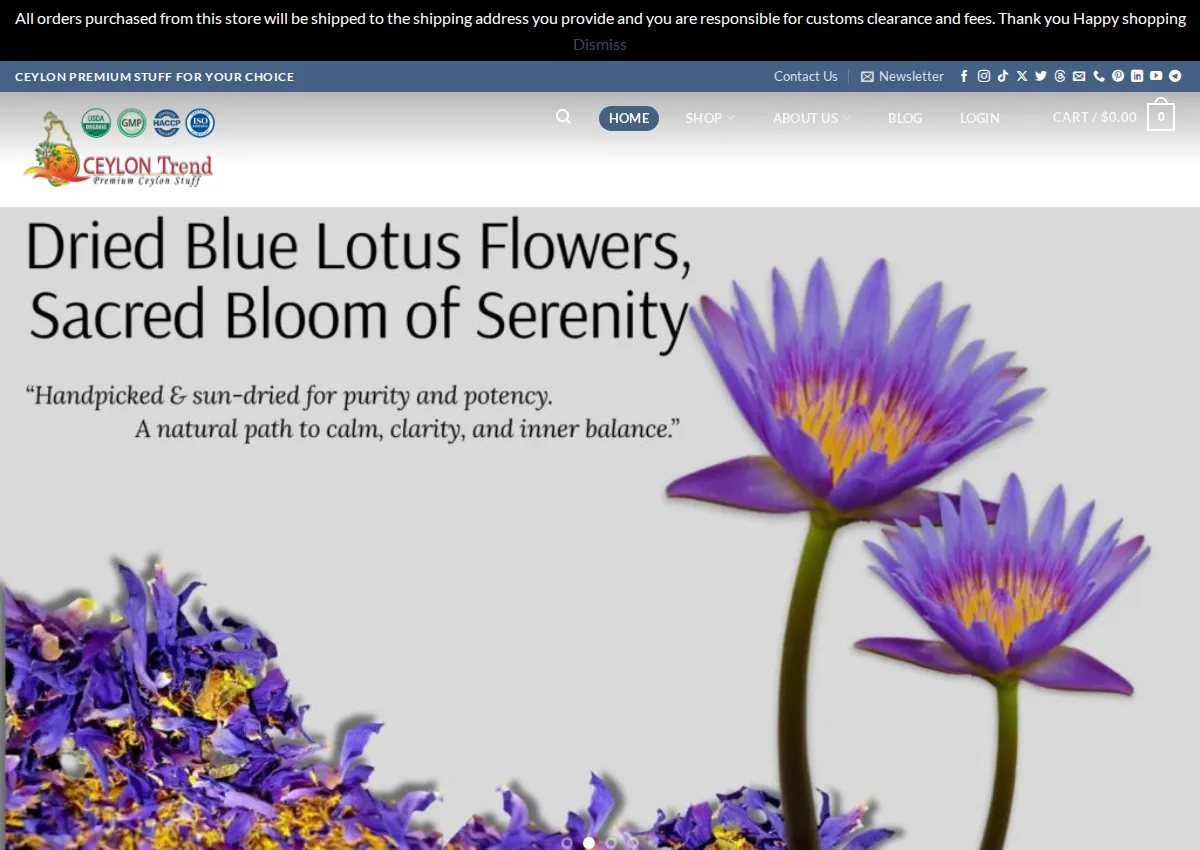 Store homepage
