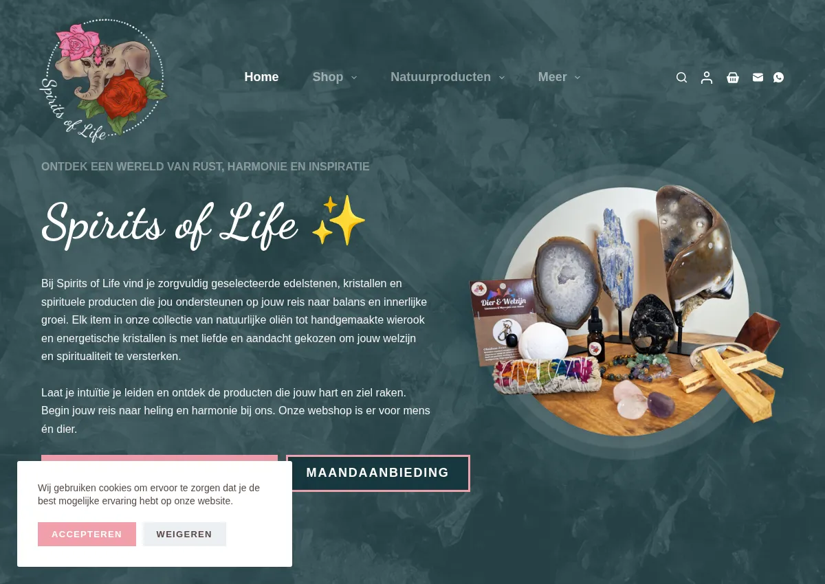Store homepage