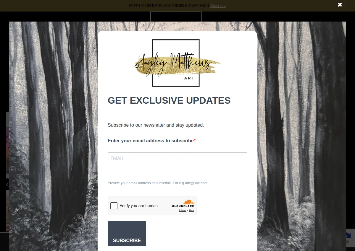 Store homepage