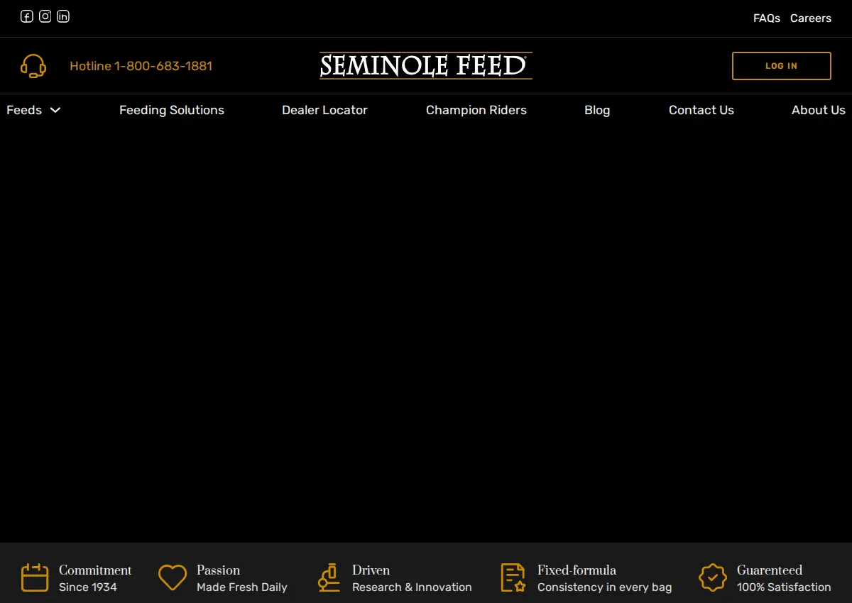 Store homepage