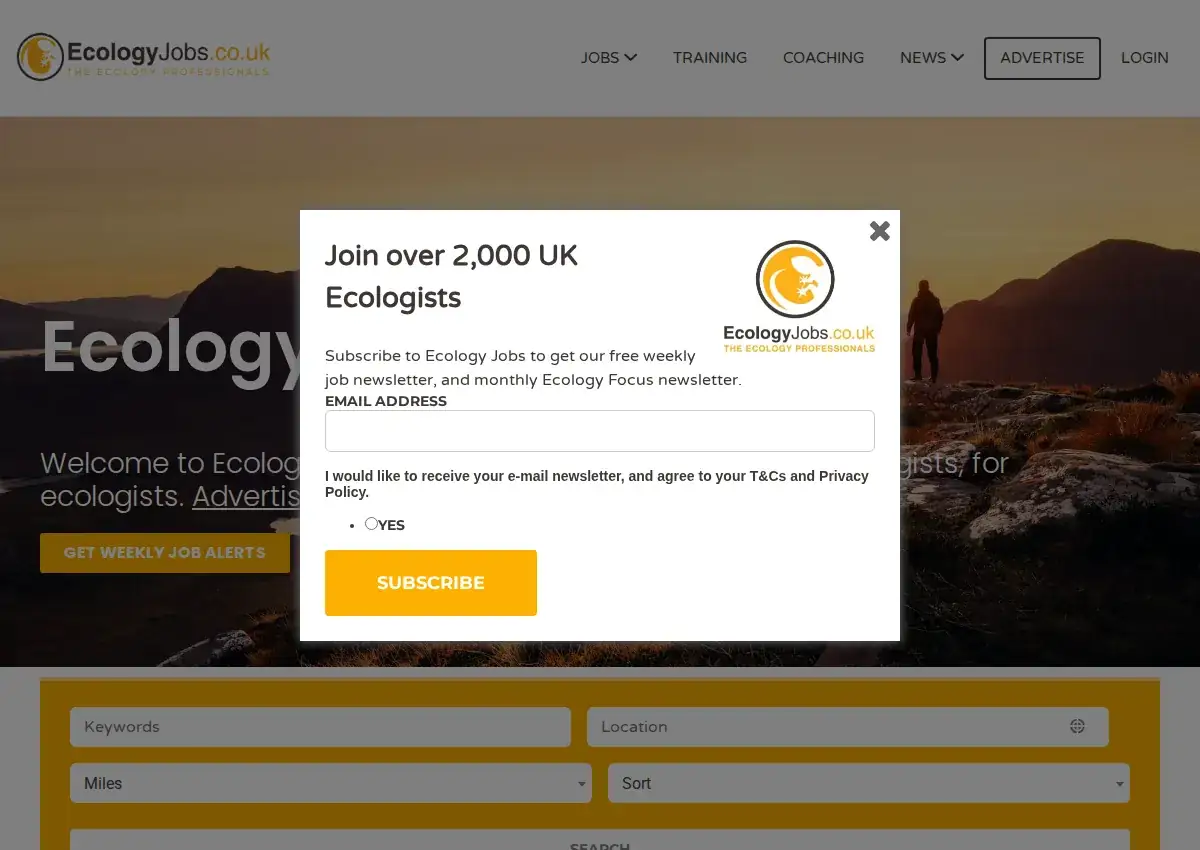 Store homepage