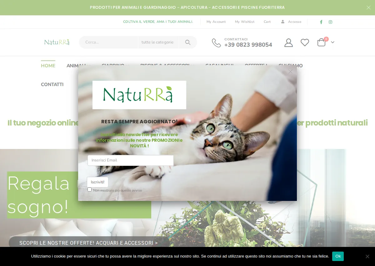 Store homepage