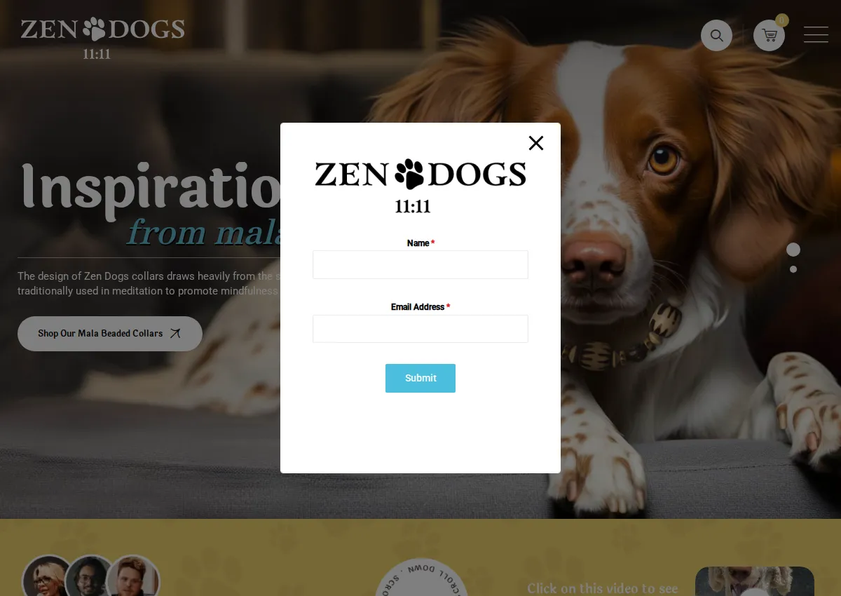 Store homepage
