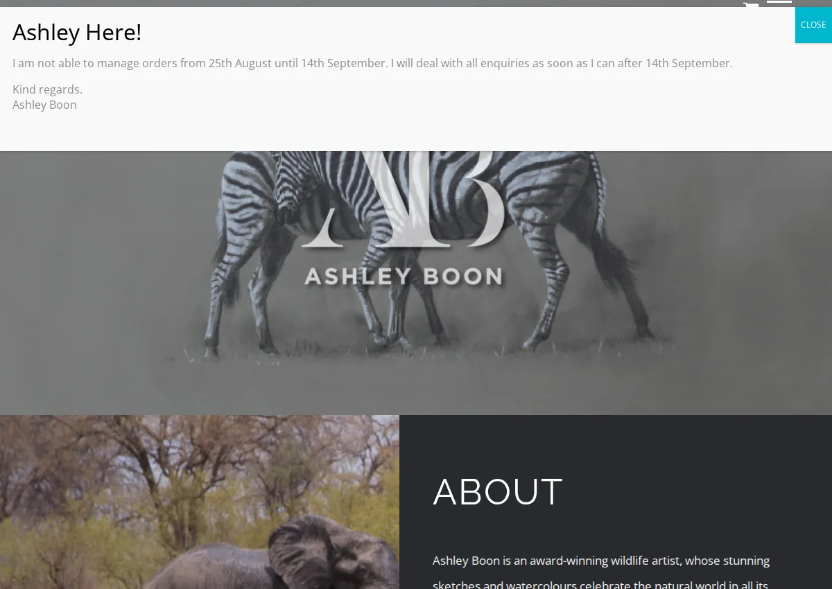 Store homepage