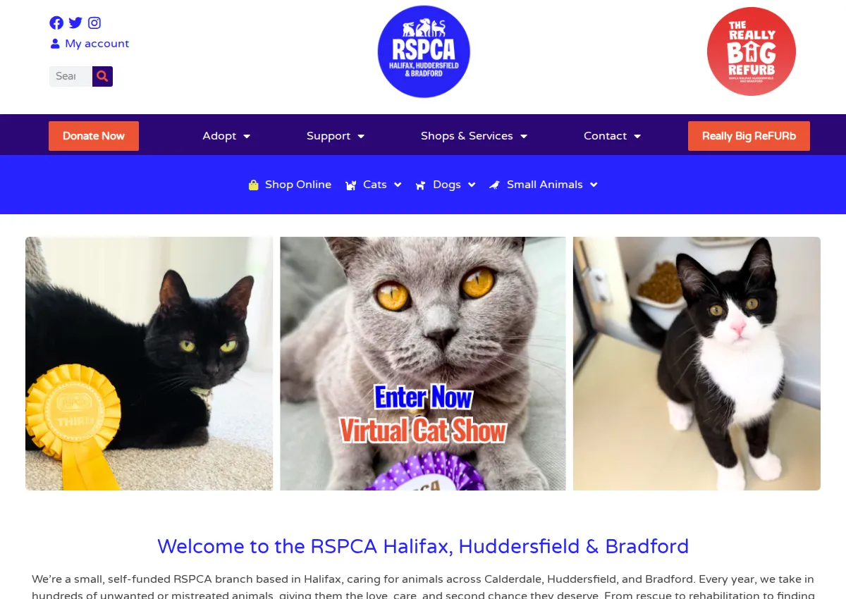 Store homepage