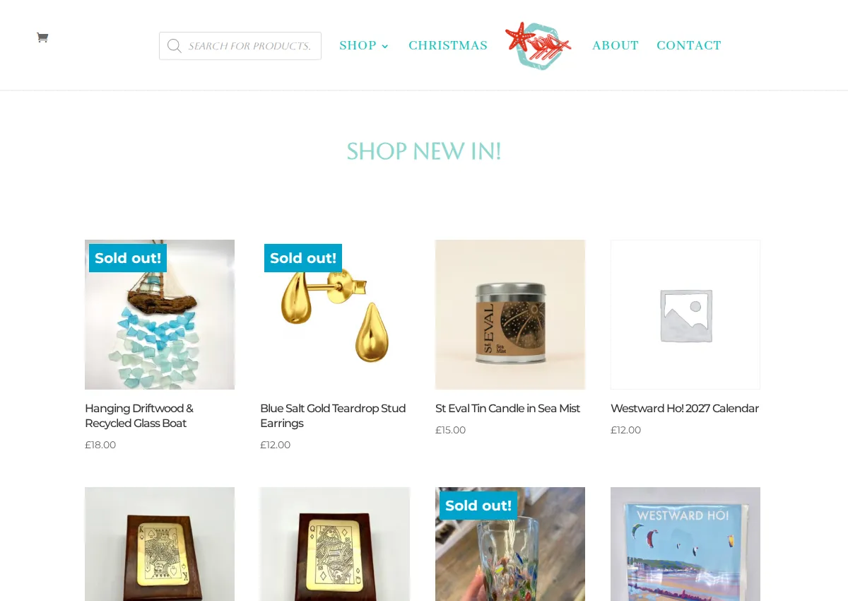 Store homepage