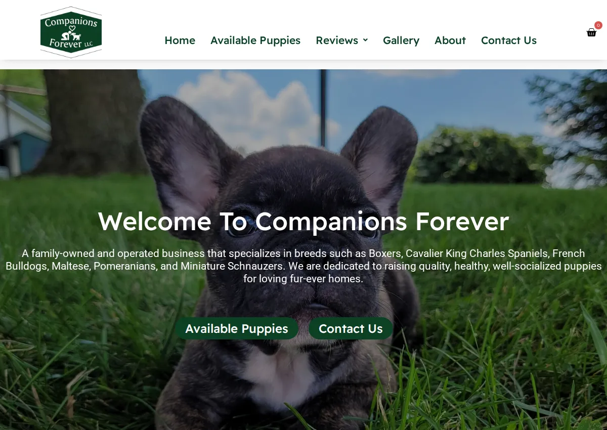 Store homepage