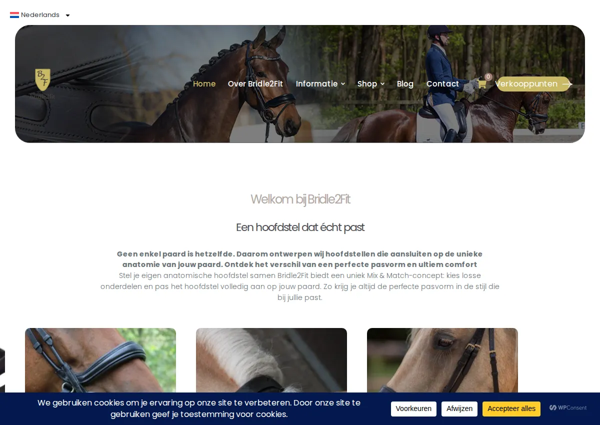 Store homepage