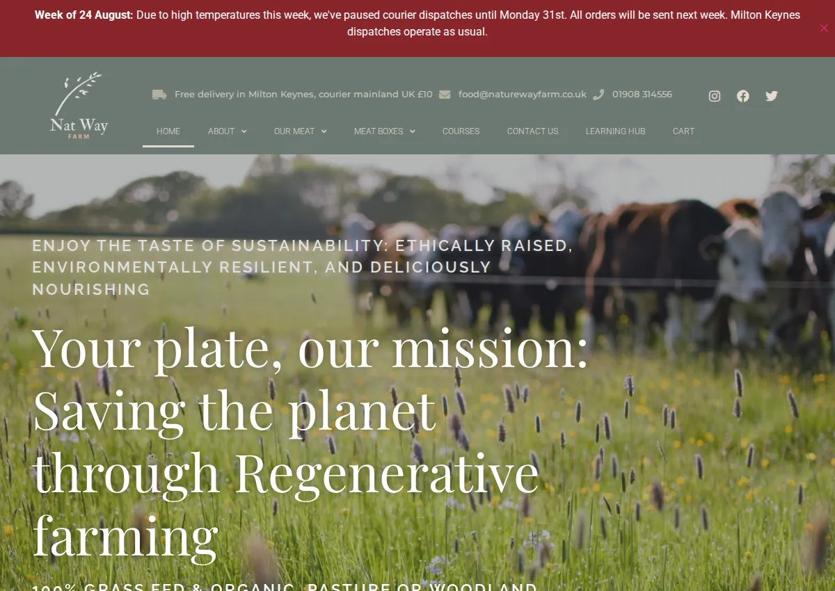 Store homepage