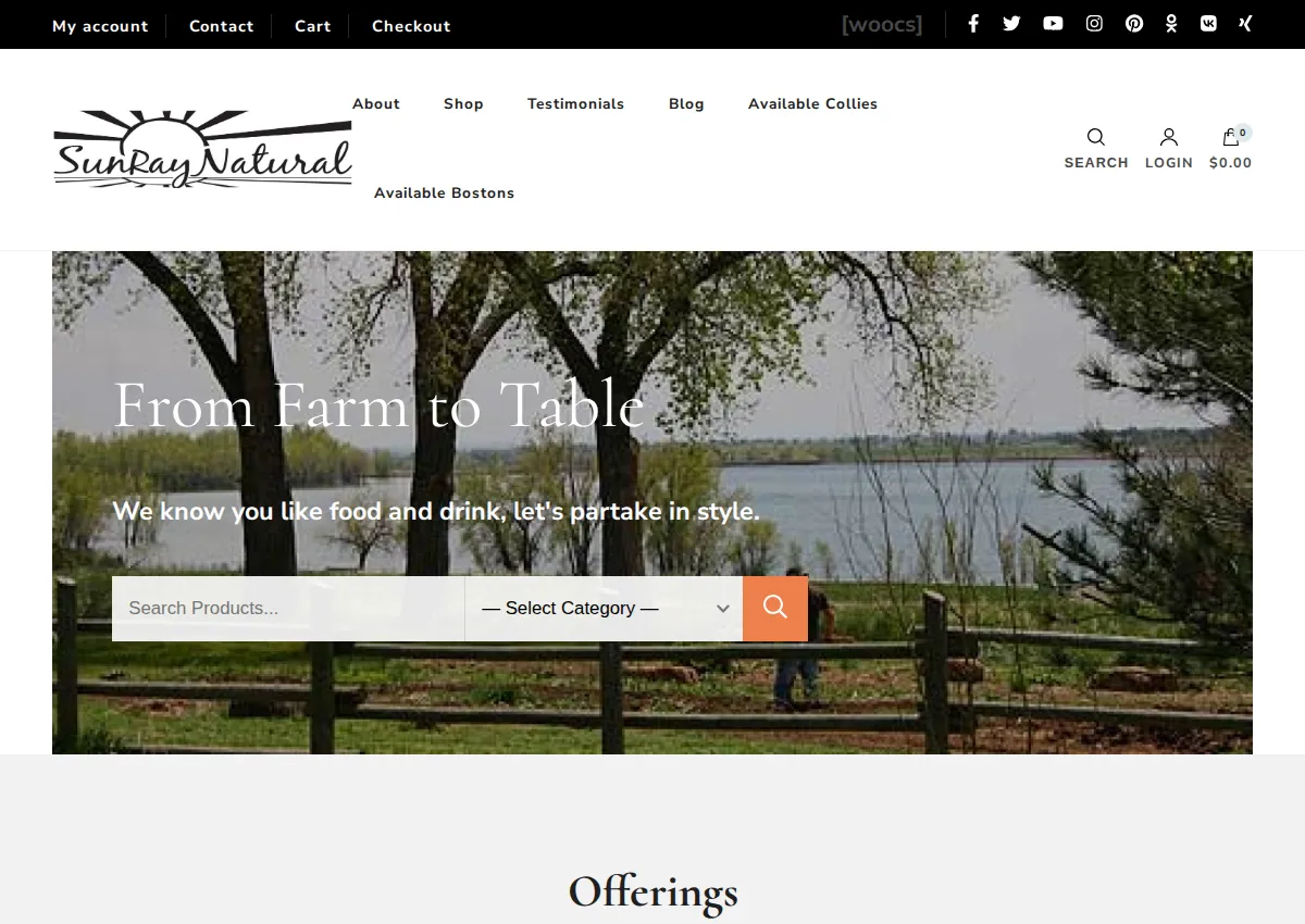 Store homepage