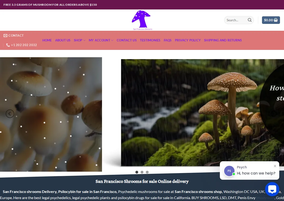 Store homepage