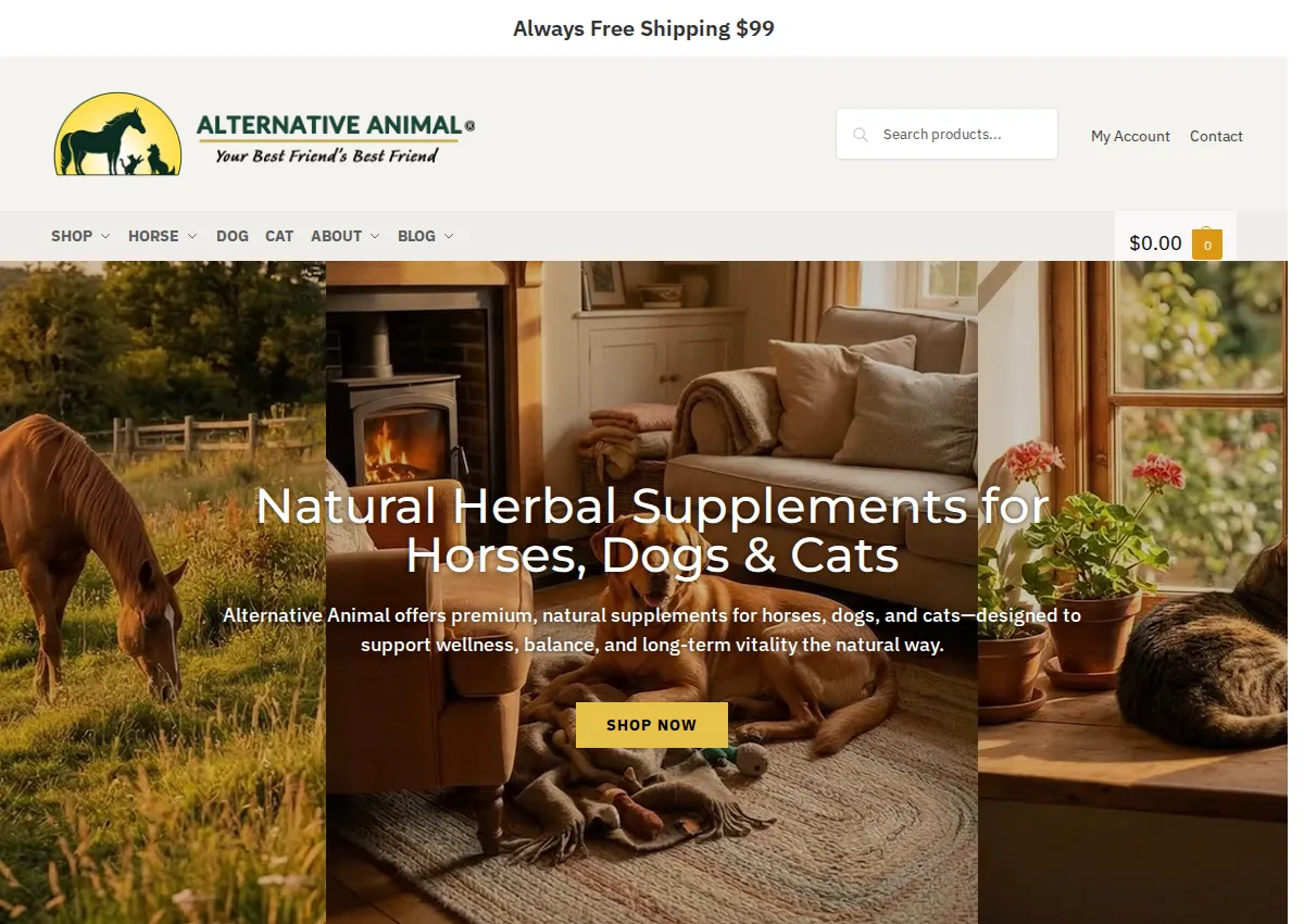 Store homepage