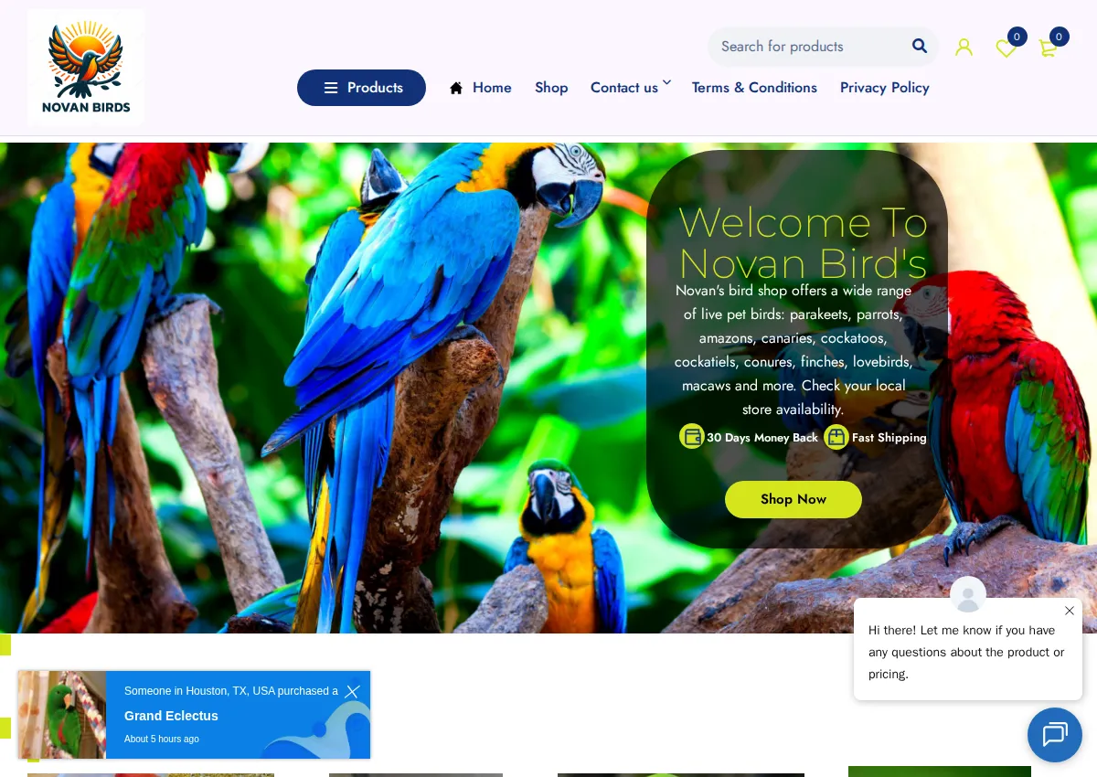 Store homepage