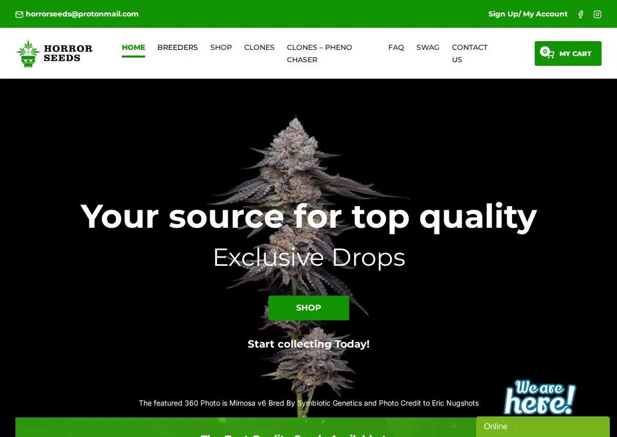 Store homepage