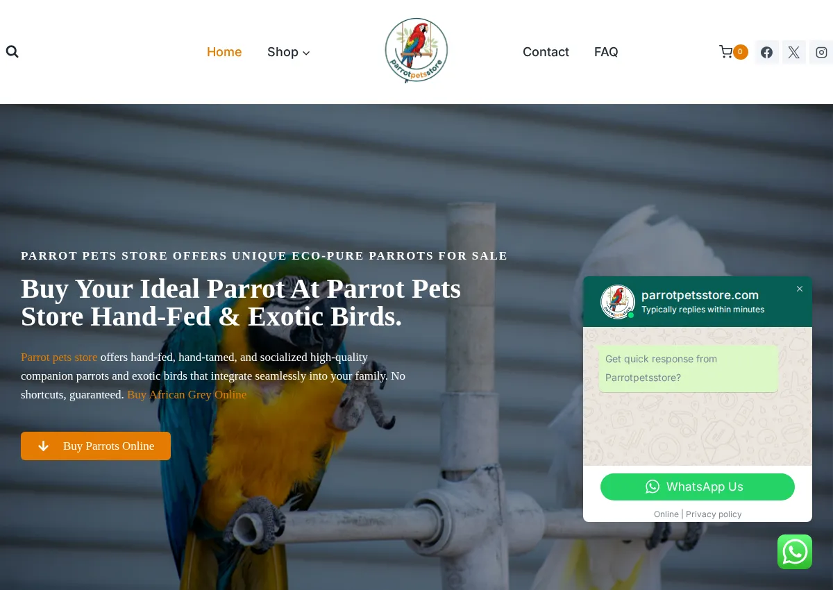 Store homepage