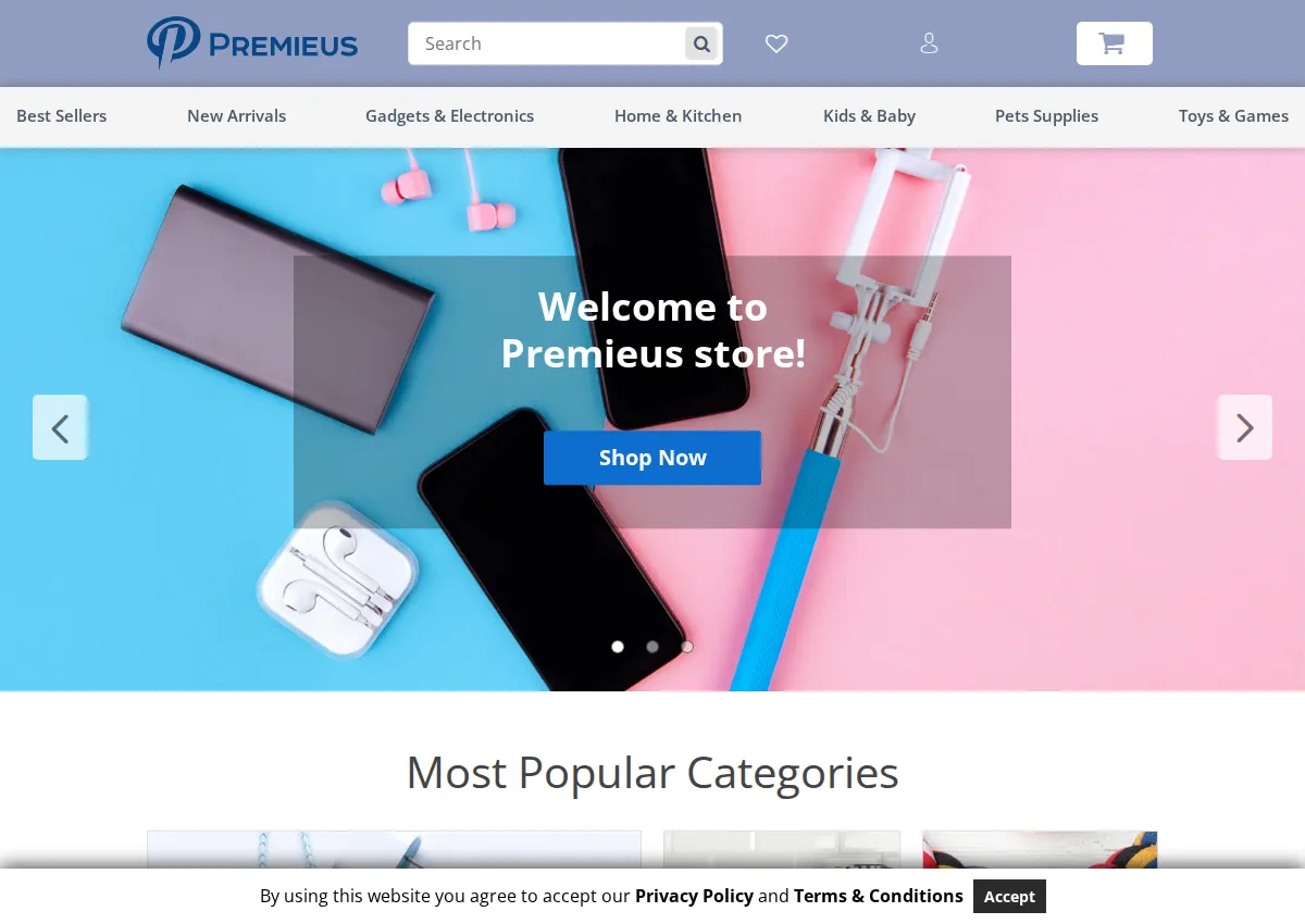 Store homepage