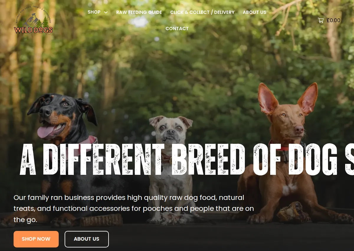 Store homepage