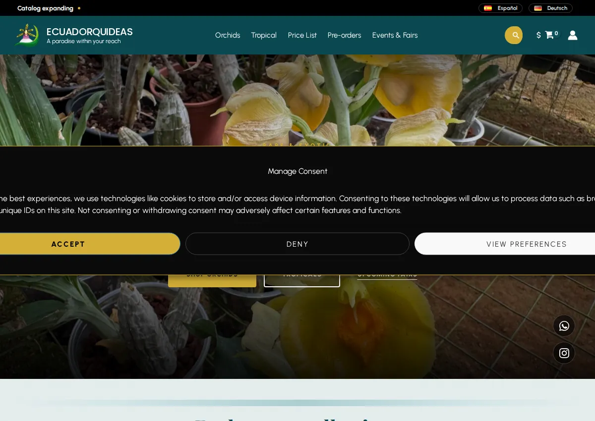 Store homepage