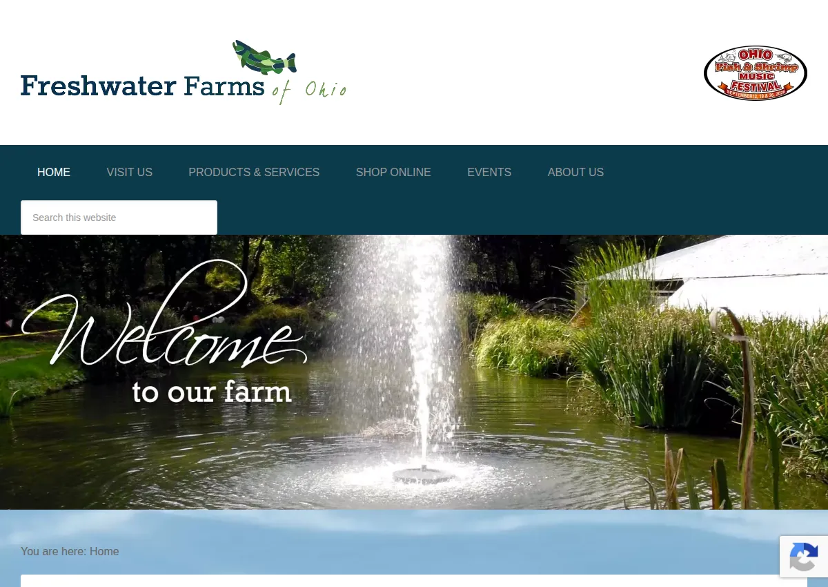 Store homepage