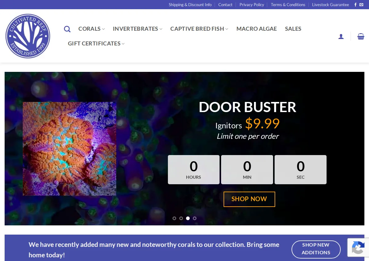 Store homepage