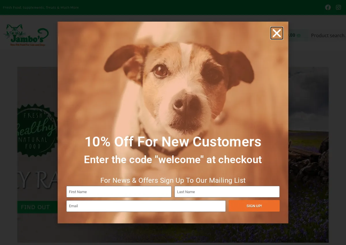 Store homepage