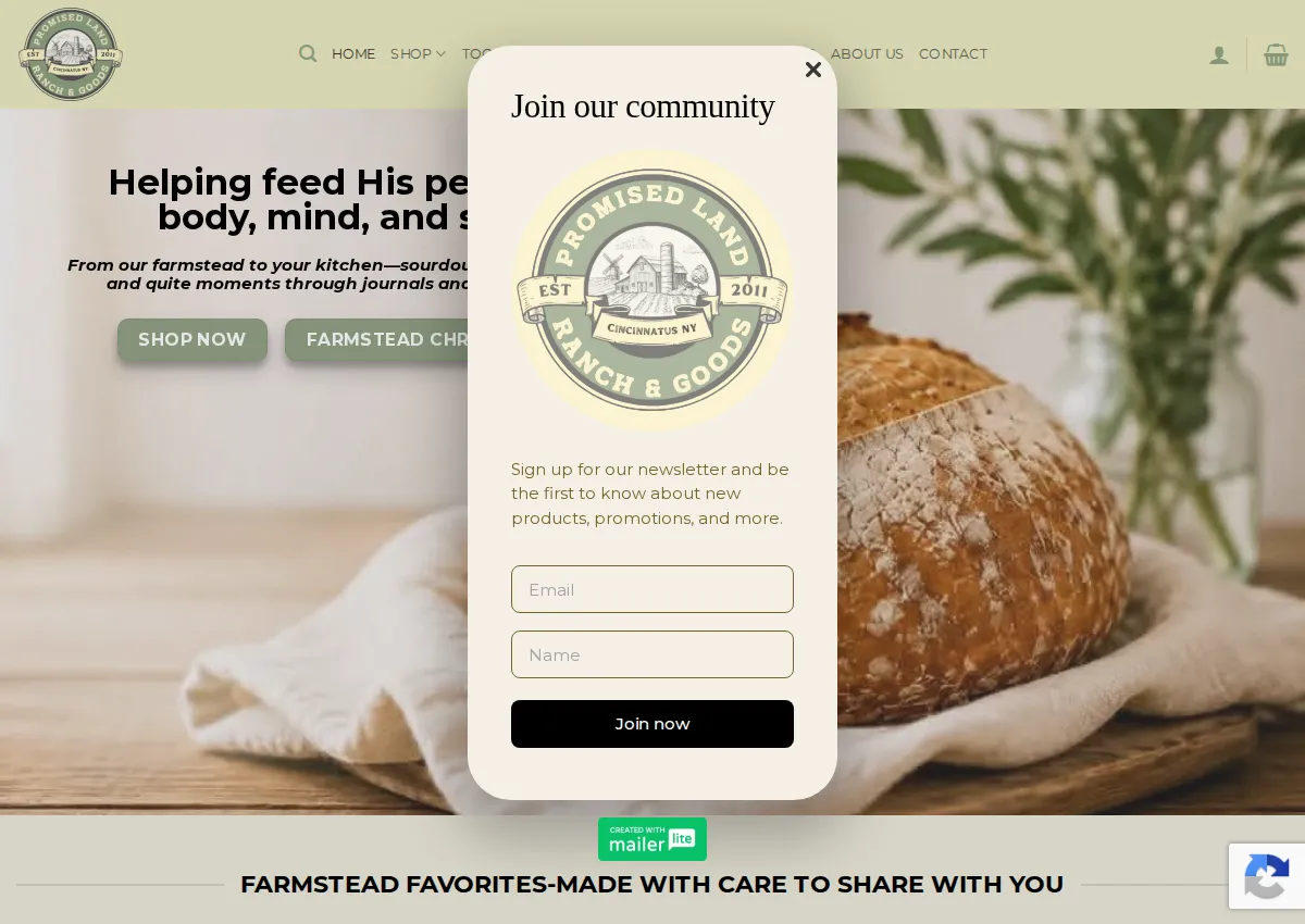 Store homepage